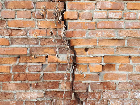 Crack in brick wall