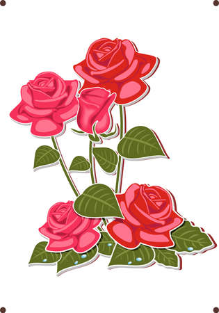 a bouquet of red and pink roses - vector imageのイラスト素材