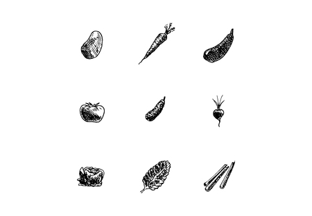 Hand drawn vegetables set on white background. Vector illustration.のイラスト素材