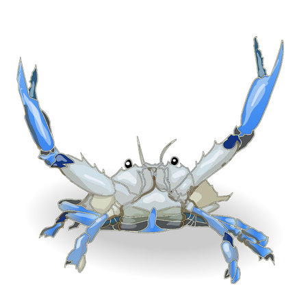 Hardshell Royalty Free Stock Illustrations And Vectors Stocklib