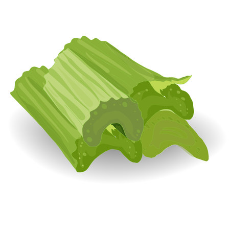 Celery. Celery isolated on a white background.のイラスト素材