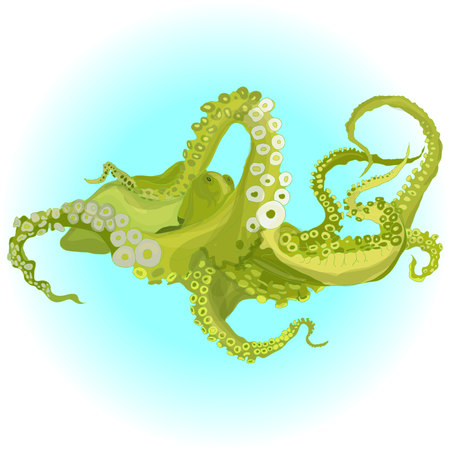 Vector drawing of an octopus/Kraken isolatedのイラスト素材