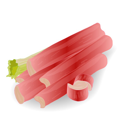 Rhubarb vector set isolatedのイラスト素材
