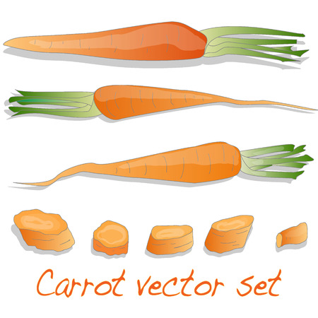 Carrot vector set isolatedのイラスト素材