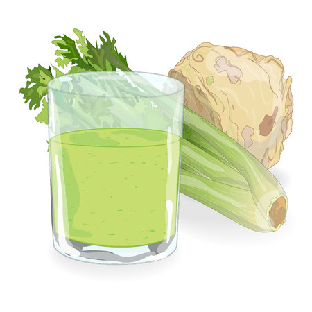 fresh green and root celery and juice isolated on white vectorのイラスト素材