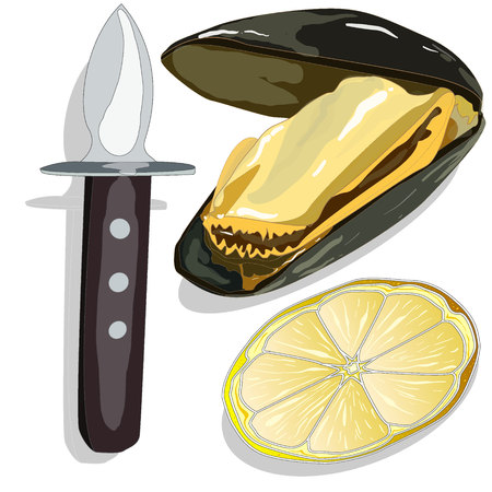 Mussels vector illustration on white backgroundのイラスト素材