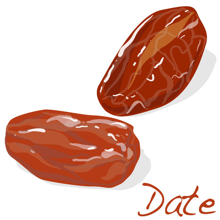 Dates isolated on white background. Vector.のイラスト素材