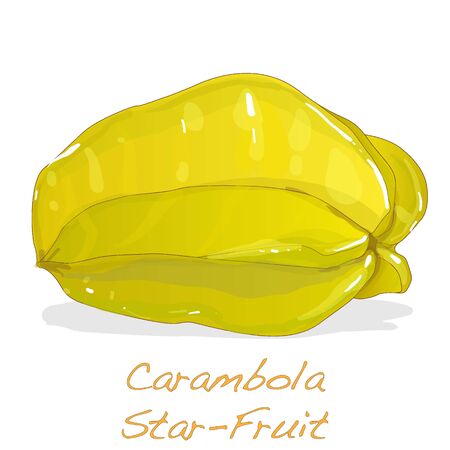 Yellow fruit carambola vector isolated on white backgroundのイラスト素材