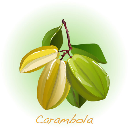 Yellow fruit carambola vector isolated on white backgroundのイラスト素材