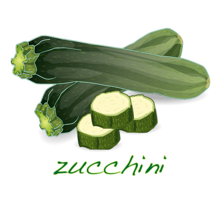 green zucchini vector vegetables isolated on whiteのイラスト素材