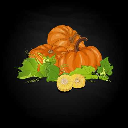 Seasonal background with plump pumpkins, corn and leavesのイラスト素材