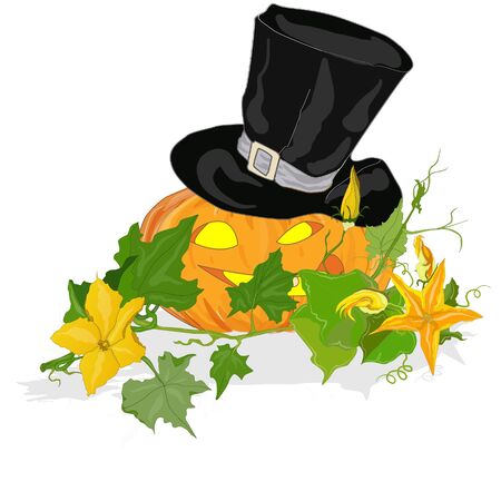 Pumpkin vector illustration isolatedのイラスト素材