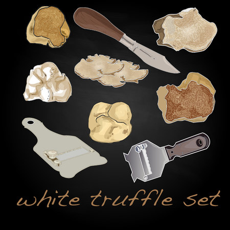 truffle vector illustration setのイラスト素材