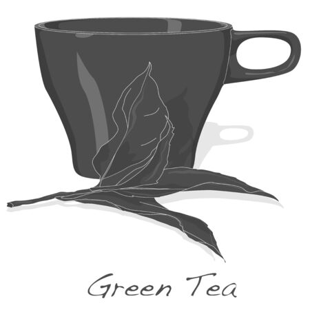 cup of fresh green tea vector isolated on white backgroundのイラスト素材