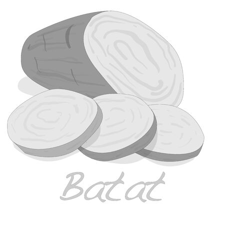 Batat, sweet potato vector isolated on white backgroundのイラスト素材