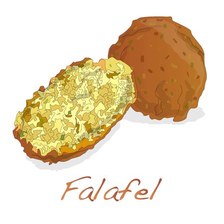 Falafel balls vector isolated on a white backgroundのイラスト素材