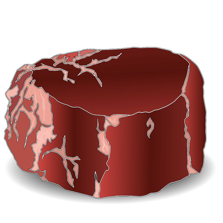 Filet Mignon isolatedの写真素材