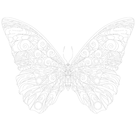 Hand drawn butterfly zentangle style for coloring book, shirt design or tattooのイラスト素材