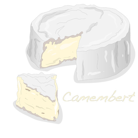 Macro of white mould cheese isolatedのイラスト素材