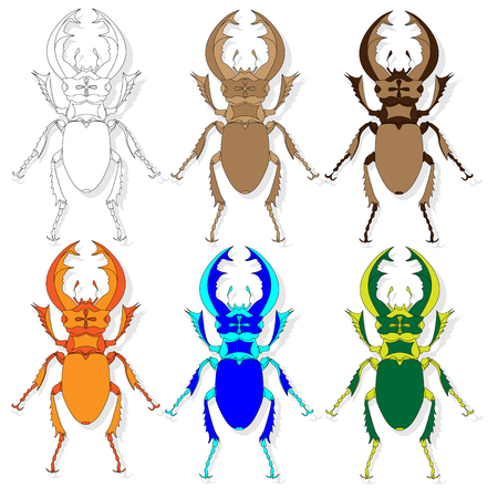 Beetle. Hand drawn sketch for adult coloring book page, T-shirt emblem, tattoo with doodle, zentangle design elements.のイラスト素材