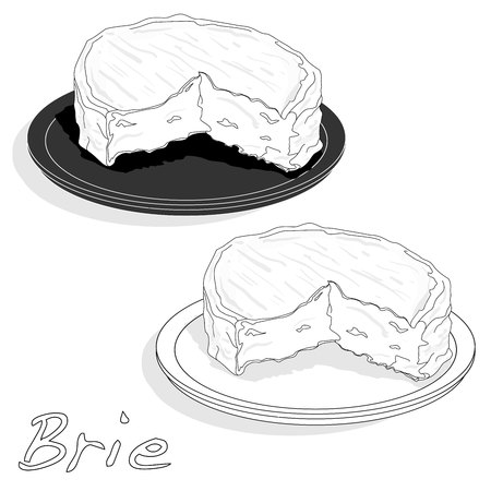 Brie cheese vector  isolated artworkのイラスト素材