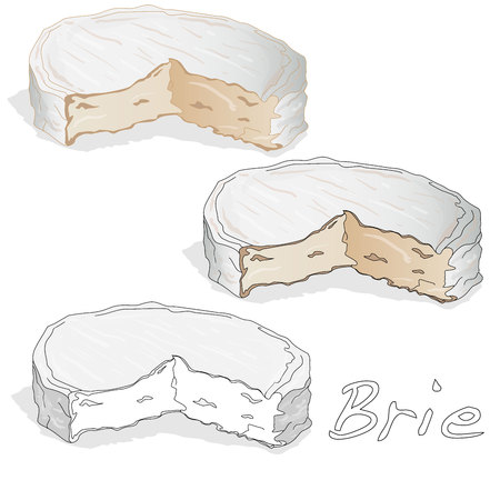 Brie cheese vector  isolated artworkのイラスト素材