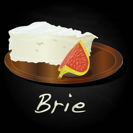 Brie cheese vector  isolated artworkのイラスト素材