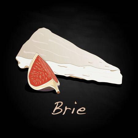 Brie cheese vector  isolated artworkのイラスト素材