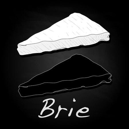 Brie cheese vector  isolated artworkのイラスト素材