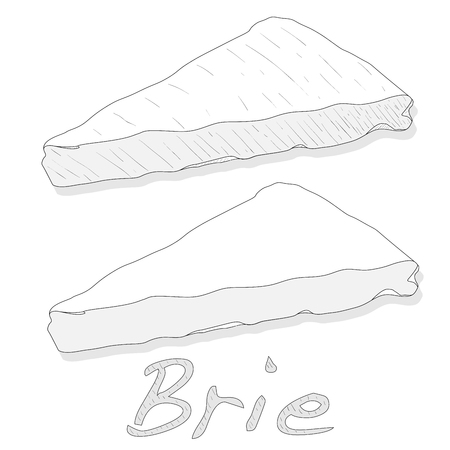Brie cheese vector  isolated artworkのイラスト素材