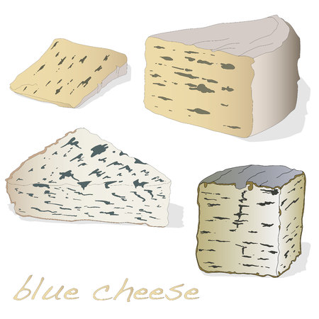Fat soft blue cheese isolated illustration.のイラスト素材