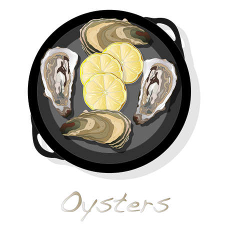 Fresh opened oyster images set.のイラスト素材