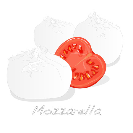 Piece of white mozzarella isolated. Illustration.のイラスト素材
