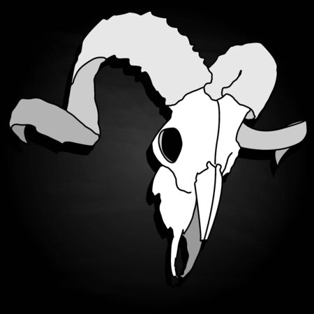 Skull - hand drawn illustration, isolated. For tattoo or t-shirt design.のイラスト素材