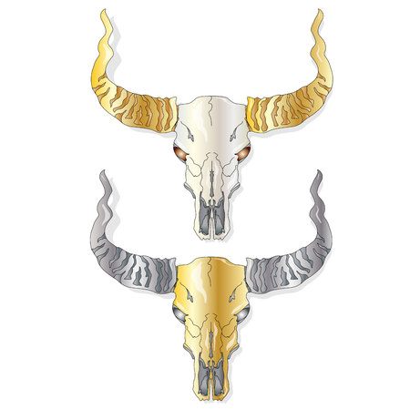 Skull- hand drawn illustration, isolated. For tattoo or t-shirt design.のイラスト素材