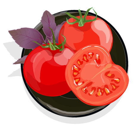 Tomatoes on black plate with basil. Isolatedのイラスト素材