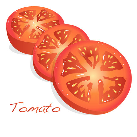 Tomato sliced illustration isolated .のイラスト素材
