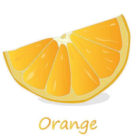 Fresh orange isolated on white background illustration set.のイラスト素材