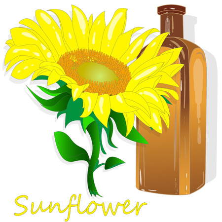 Sunflower oil bottle isolated on white illustration setのイラスト素材
