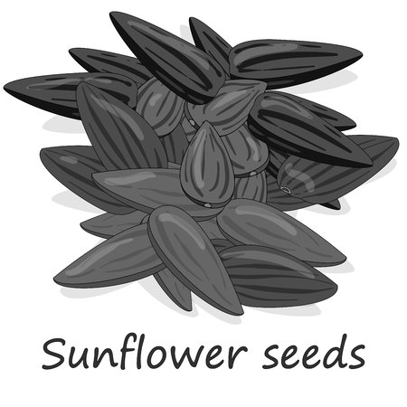 Sunflower seeds pile against white background illustration setのイラスト素材