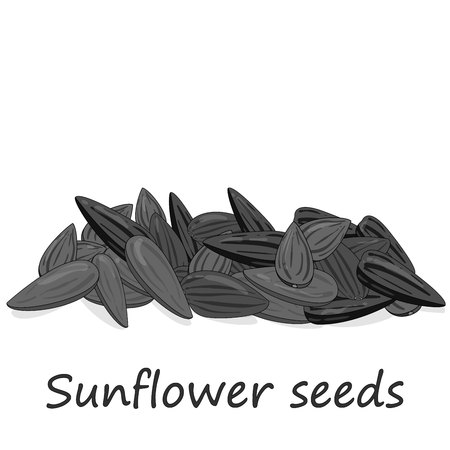 Sunflower seeds pile against white background illustration setのイラスト素材