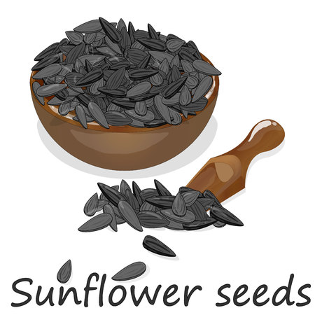 Sunflower seeds pile against white background illustration setのイラスト素材