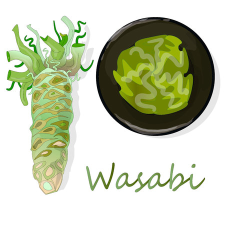 wasabi Japanese horseradish in black cup illustration on white background.のイラスト素材