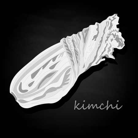 Kimchi, traditional korean food. Illustration on blackのイラスト素材