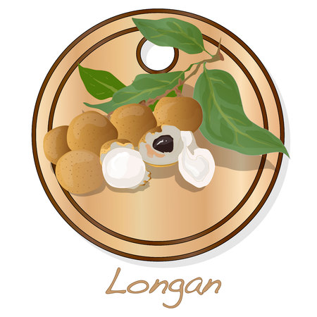 Longan, Dimocarpus longan.  Longan vector illustration on dish isolated white background.のイラスト素材