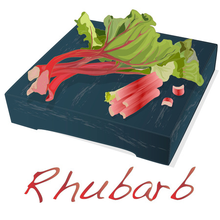 Fresh rhubarb. Rhubarb leavs on stone dish  isolated on white. Vector Illustration.のイラスト素材