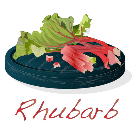 Fresh rhubarb. Rhubarb leavs on stone dish  isolated on white. Vector Illustration.のイラスト素材