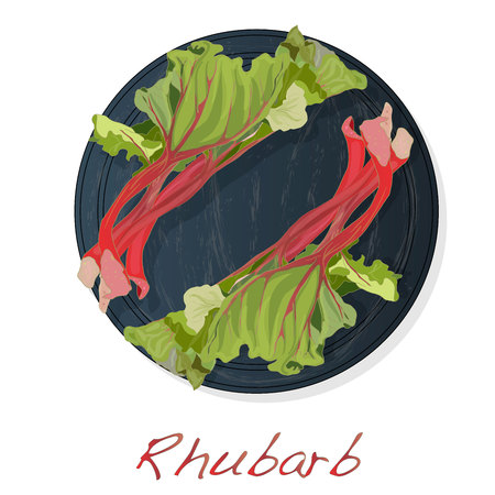 Fresh rhubarb. Rhubarb leavs on stone dish  isolated on white. Vector Illustration.のイラスト素材