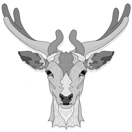 Stylized deer head vector monochrome  illustration isolated on white backgroundのイラスト素材