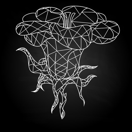 Fantasy flower vector illustration set isolated. Polygonal design.のイラスト素材